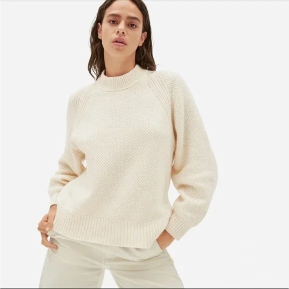 EVERLANE 100% cashmere sweater